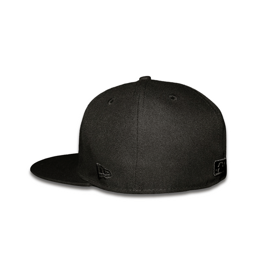 Detroit Tigers Black On Black
