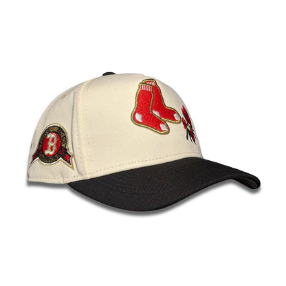 Boston Red Sox World Series Champions 2013