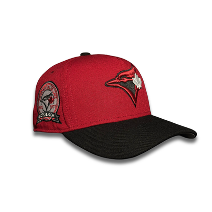 Toronto Blue Jays 40Th Season