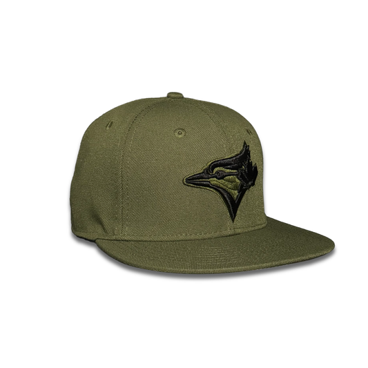 Toronto Blue Jays Armed Forces Day